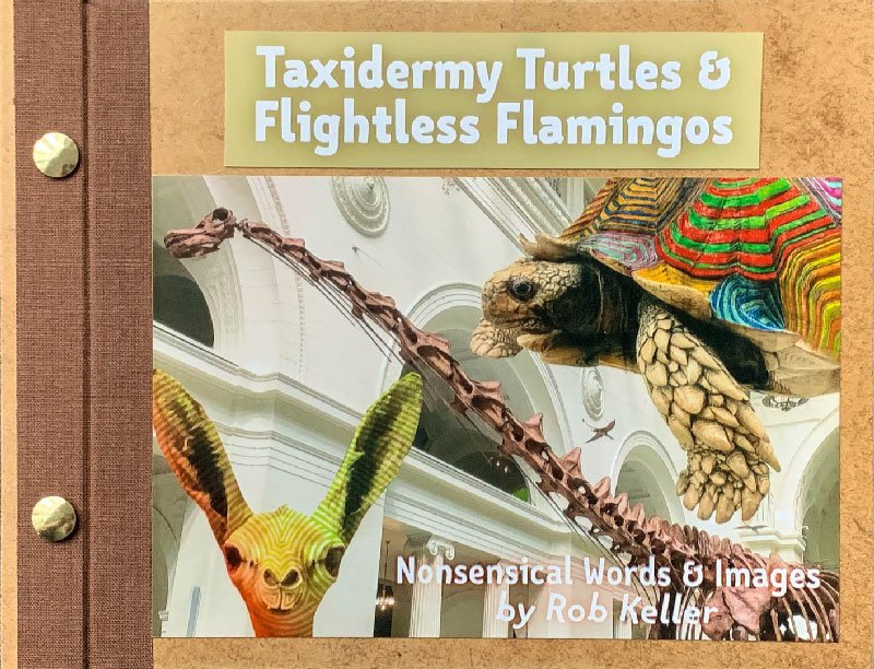 Taxidermy Turtles & Flightless Flamingos Book by Rob Keller